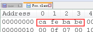 java class magic number