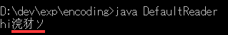 default charset reader test in Windows CMD